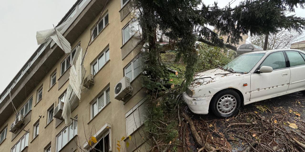 İstanbul’da lodos kabusu! Çatılar koptu ağaçlar devrildi